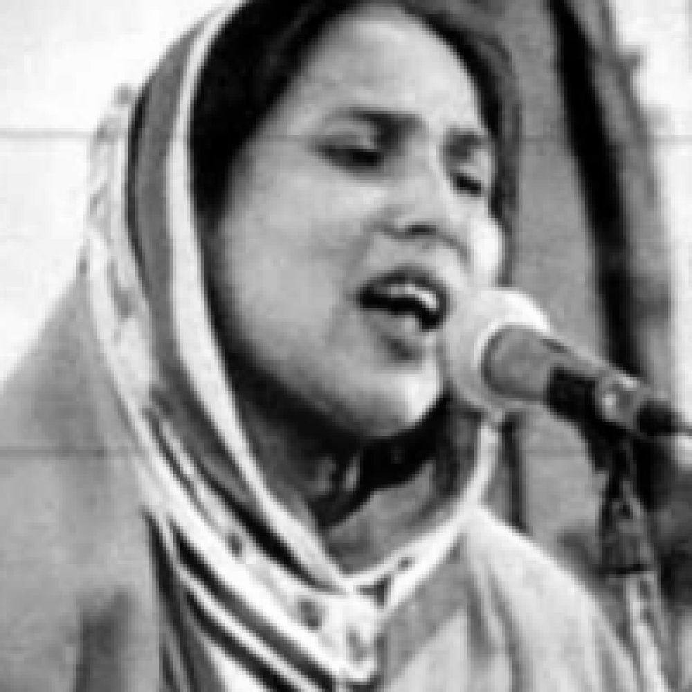 Hina taimuri