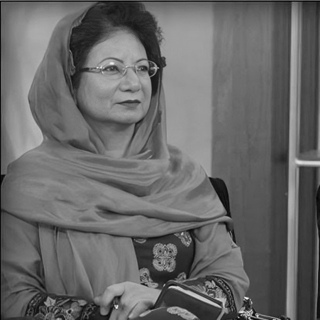 Hamida Shaheen